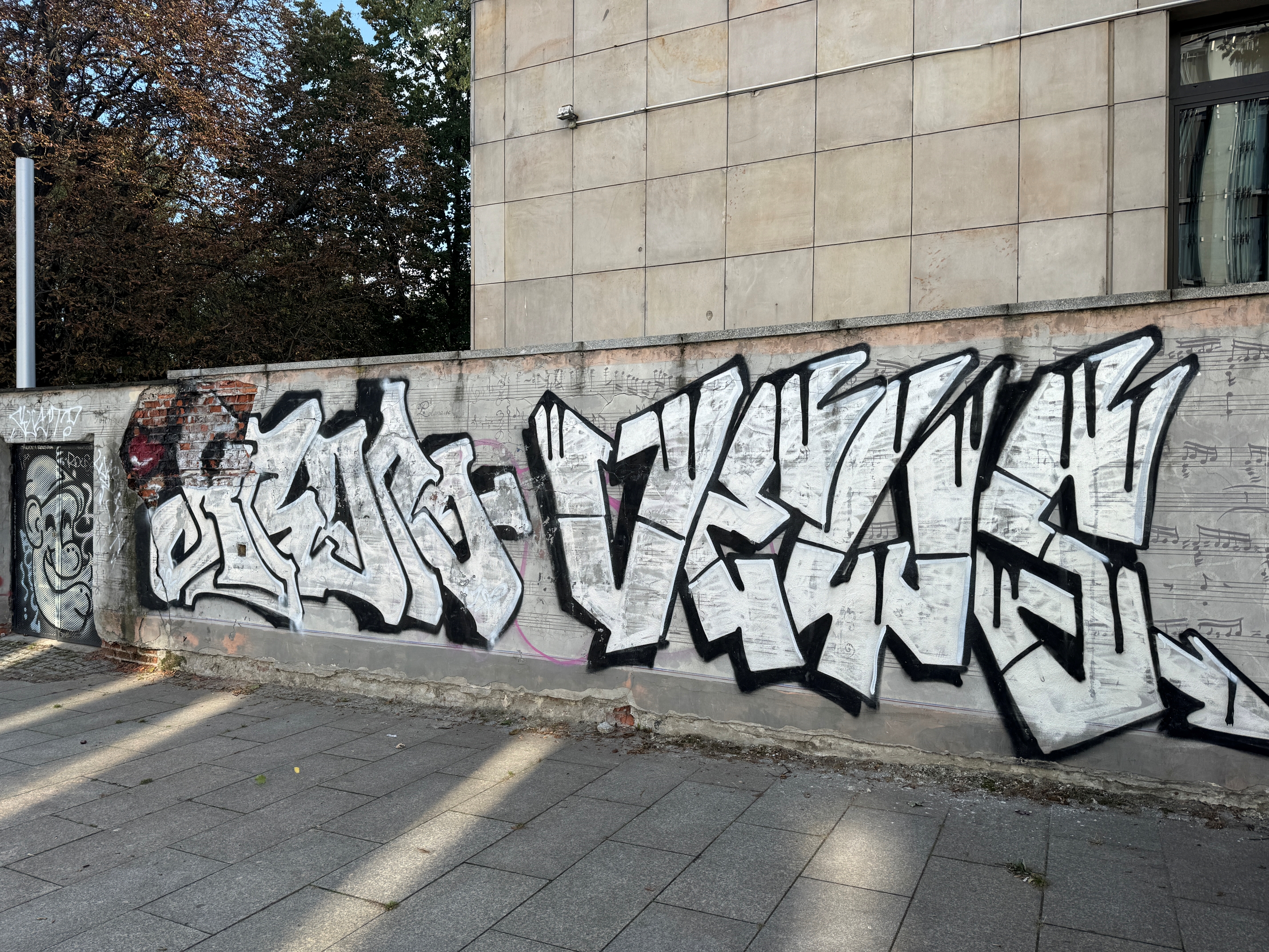 embed