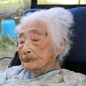 Nabi Tajima