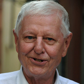 Hans Magnus Enzensberger