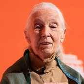 Jane Goodall